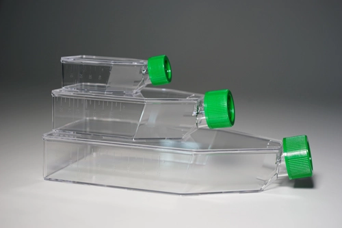 Cell Culture Flask : Adherent Cell Culture Flask 02-101ACFL